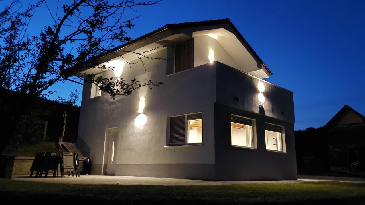 Grajsko Villa Metlika Exterior photo
